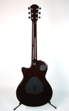 Taylor Limited Edition T5Z Custom Cocobolo